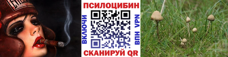 Псилоцибиновые грибы мухоморы  где можно купить наркотик  Малая Вишера 